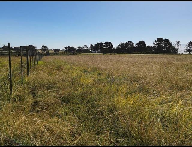 LAND FOR SALE IN GEORGE RURAL